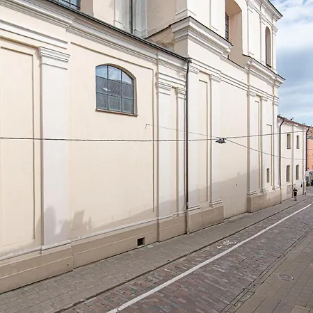 Slow-down, Relax, Take It Easy In Artsy Oasy Apartment Vilnius